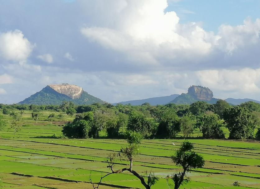 Outdoors view Photo