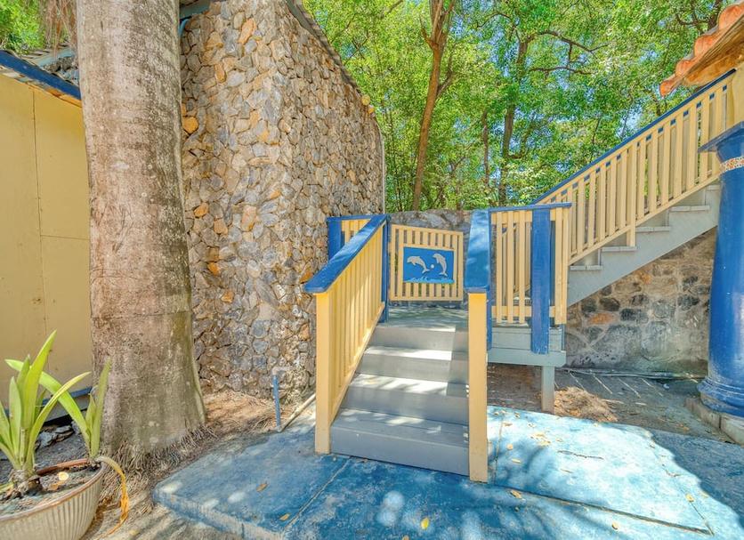 Stairs Photo