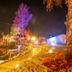 Hotel Schmelmer Hof in Bad Aibling with illuminated lakeside boardwalk and colorful night reflections