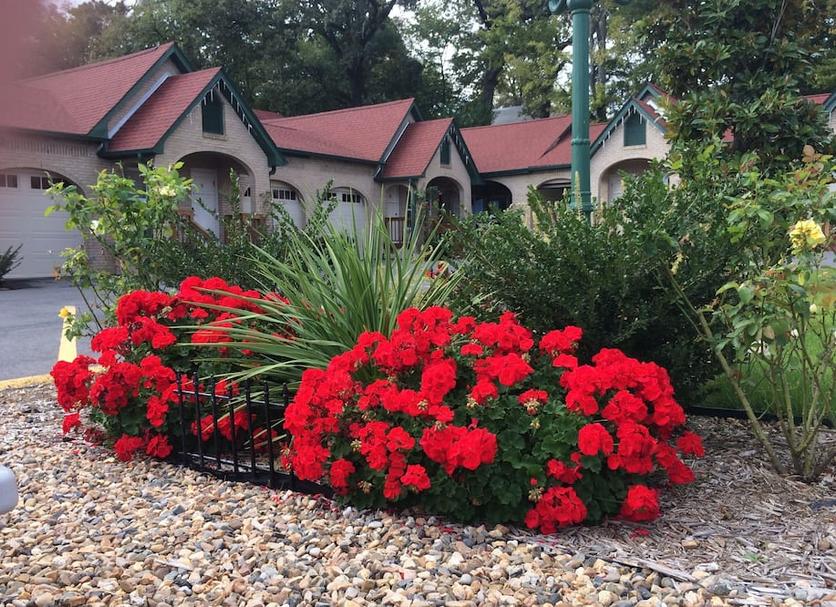Outdoors view Photo