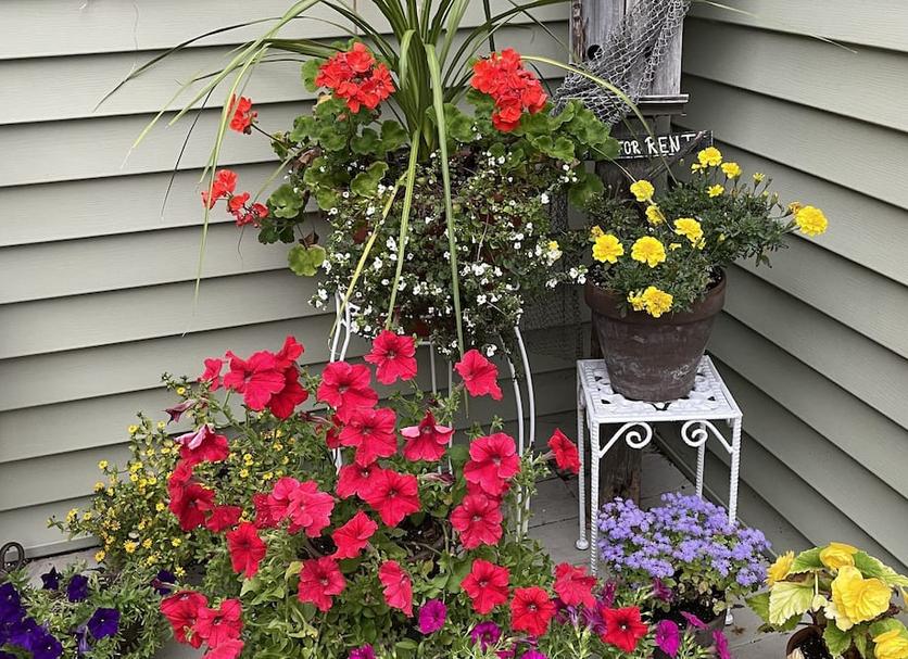 Outdoors view Photo