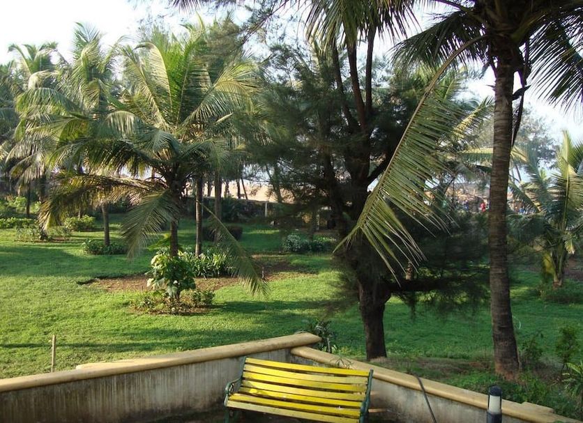 Calangute Residency in Calangute with palm trees and a grassy garden view
