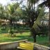 Calangute Residency in Calangute with palm trees and a grassy garden view