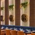 Hotel Corporate in Navi Mumbai dining area with blue banquette seating, round mirrors, and hanging plants