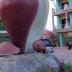 Outdoors view