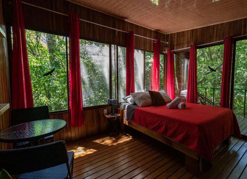 The Green Tree Lodge in Monteverde with a bed beside floor-to-ceiling windows overlooking lush forest