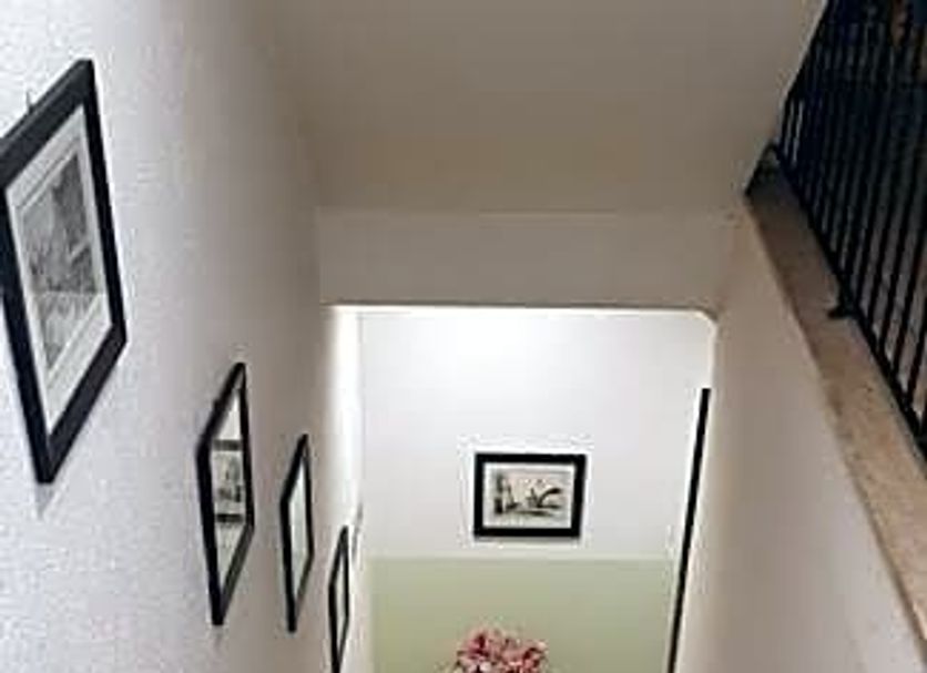 Stairs Photo