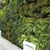 Casa Hotel Boyaca Real Bogotá interior with a lush green living wall and white chairs