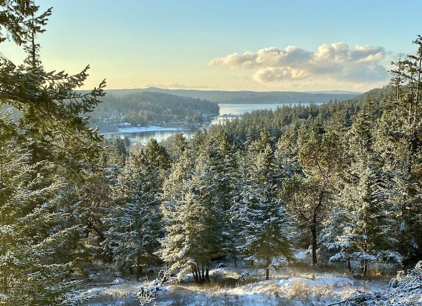 Outdoors view Photo