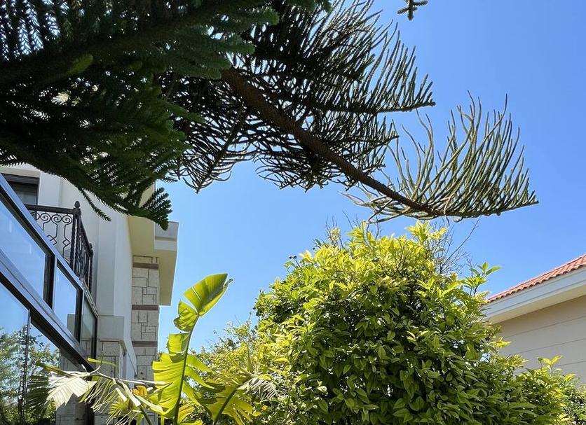 Outdoors view Photo