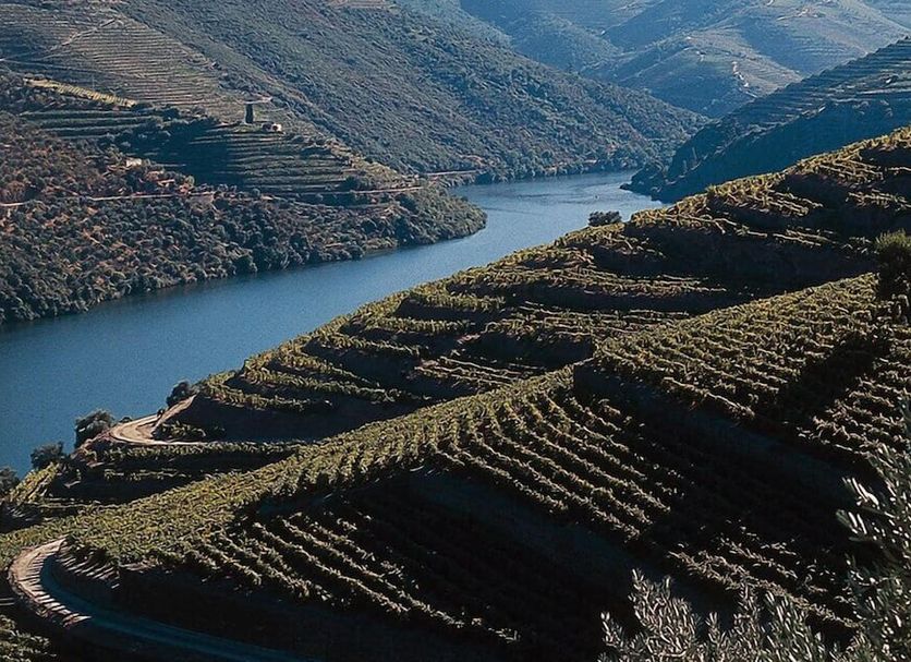 Casa da Azenha in Peso da Régua overlooking terraced vineyards and a river valley