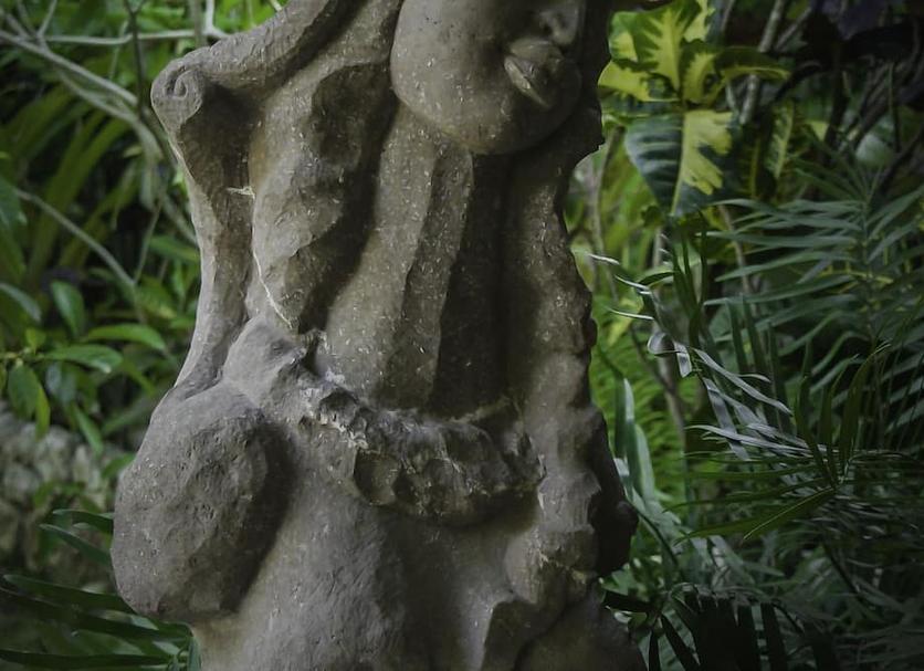 Other Photo