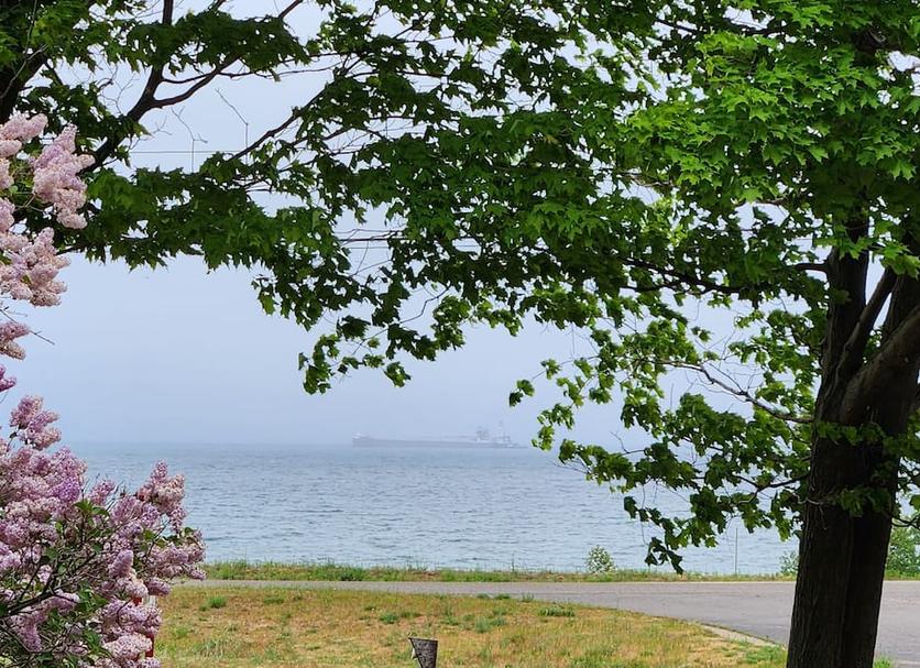 Outdoors view Photo