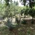Outdoors view