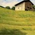 Madrisa Lodge in Klosters-Serneus on a grassy hillside beside a rustic wooden chalet