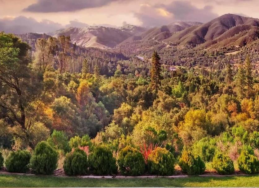 Outdoors view Photo