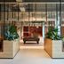 The Social Hub Barcelona Poblenou lobby with pool table, seating, and tall planters in Barcelona