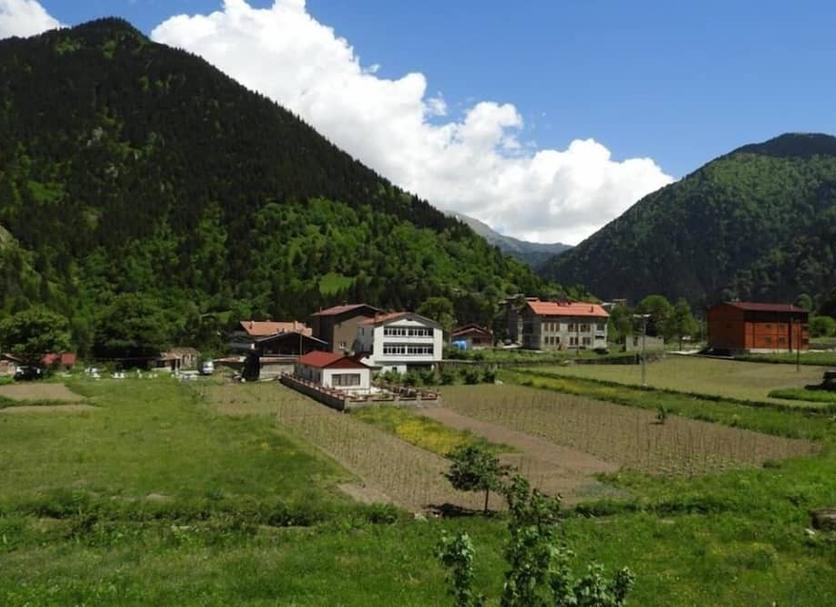 Outdoors view Photo