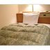 Hotel Shin-ei Toyota guest room with a made bed and bedside lamp
