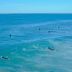 Ith San Diego Beach Bungalow Surf Hostel in San Diego with surfers on blue ocean water