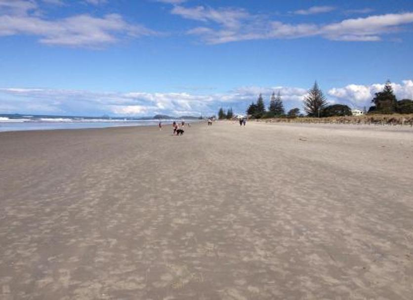 Beach Photo