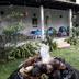Outdoors view