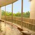 Colosseum Inn Tateshina hot spring bath with large windows and garden views in Tateshina