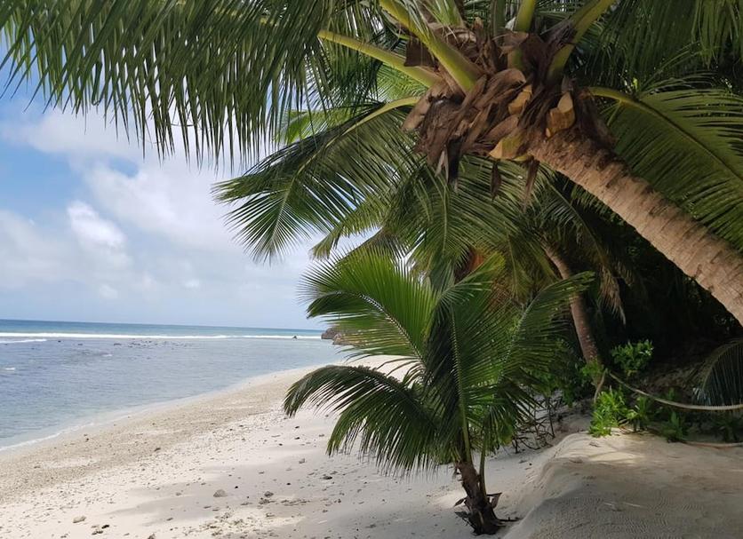 Beach Photo