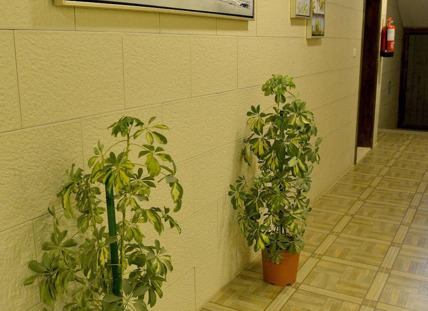 Other Photo
