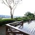 Minshuku Yakusugiso in Yakushima with a wooden terrace overlooking trees and distant water