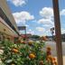 Outdoors view