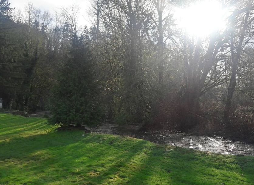 Monroe Motel in Monroe with a sunlit stream beside trees and grassy grounds