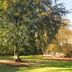Outdoors view