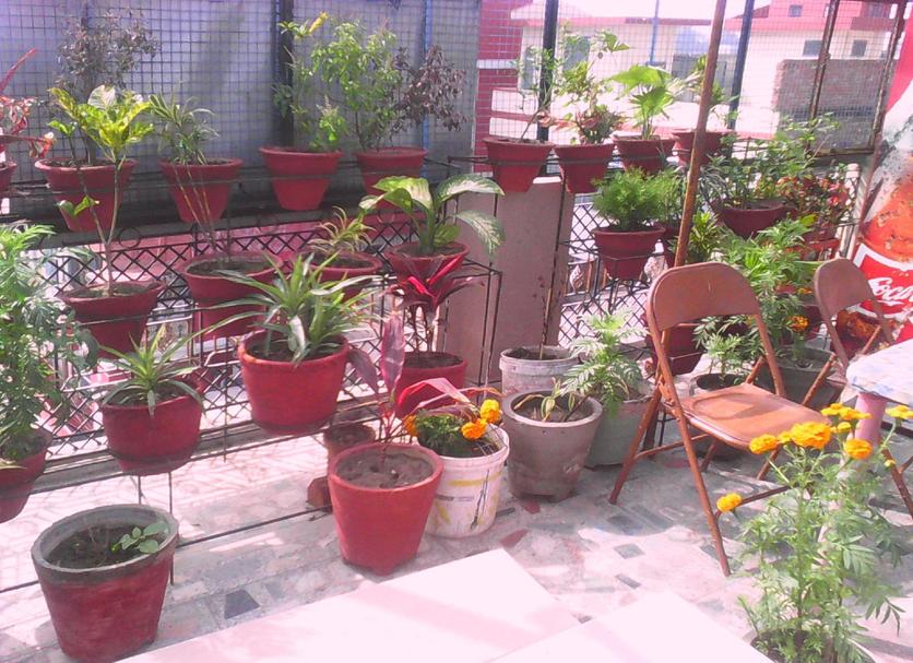 Patio Photo