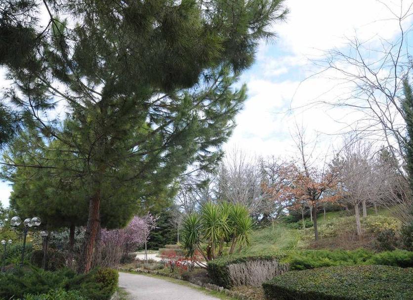 Outdoors view Photo
