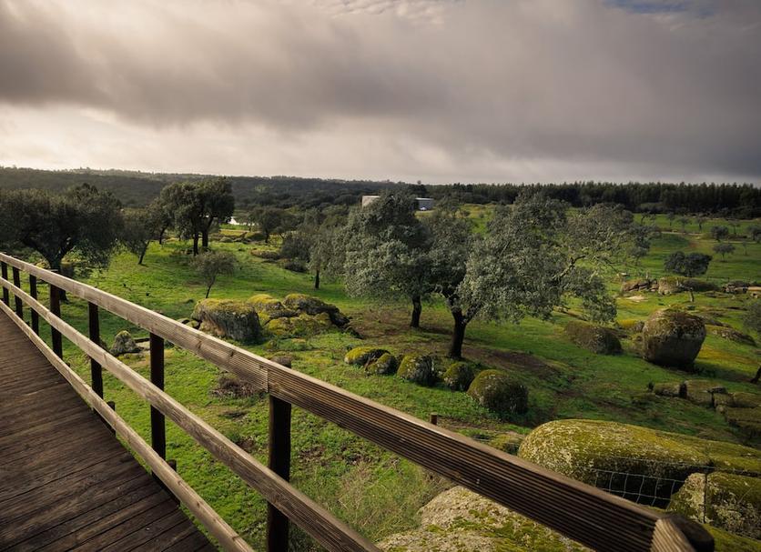 Outdoors view Photo