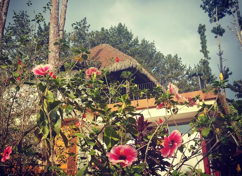 Outdoors view Photo