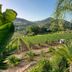 La Suite Di Segesta in Calatafimi-Segesta with palm trees and vineyard hillside views