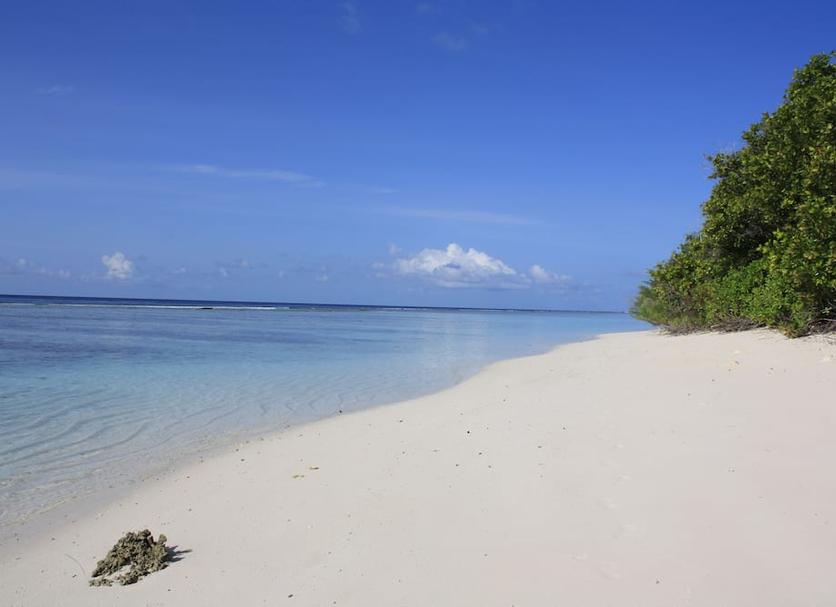 Beach Photo