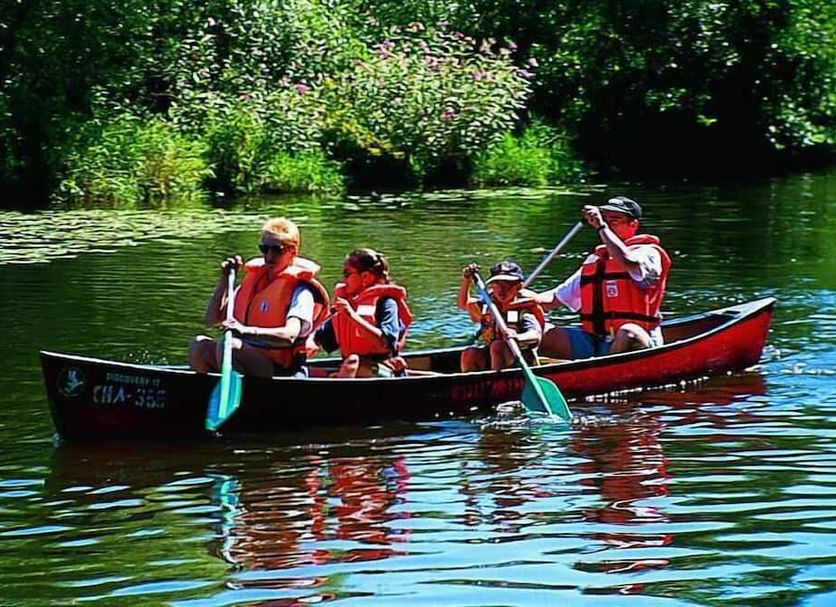 Guests canoe on a calm lake at Hotel Amberger Hof in Bad Kotzting, surrounded by greenery.
