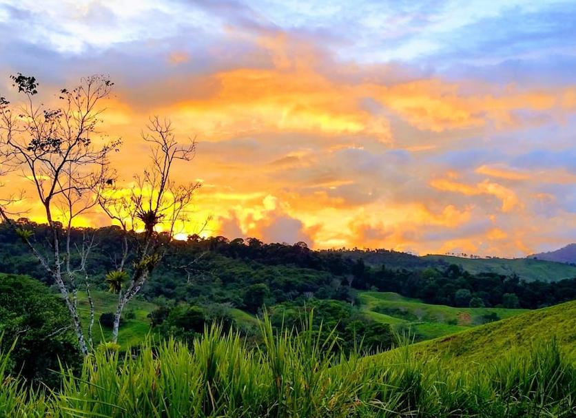 Outdoors view Photo