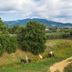 Outdoors view
