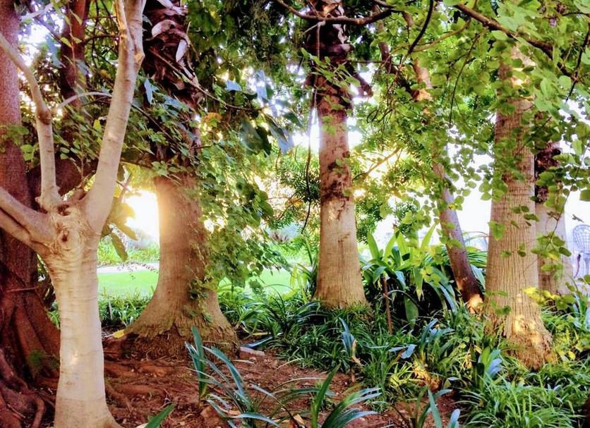 Outdoors view Photo