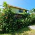 Cabinas Tortuguero Natural in Tortuguero, lush tropical hotel exterior with garden-lined path