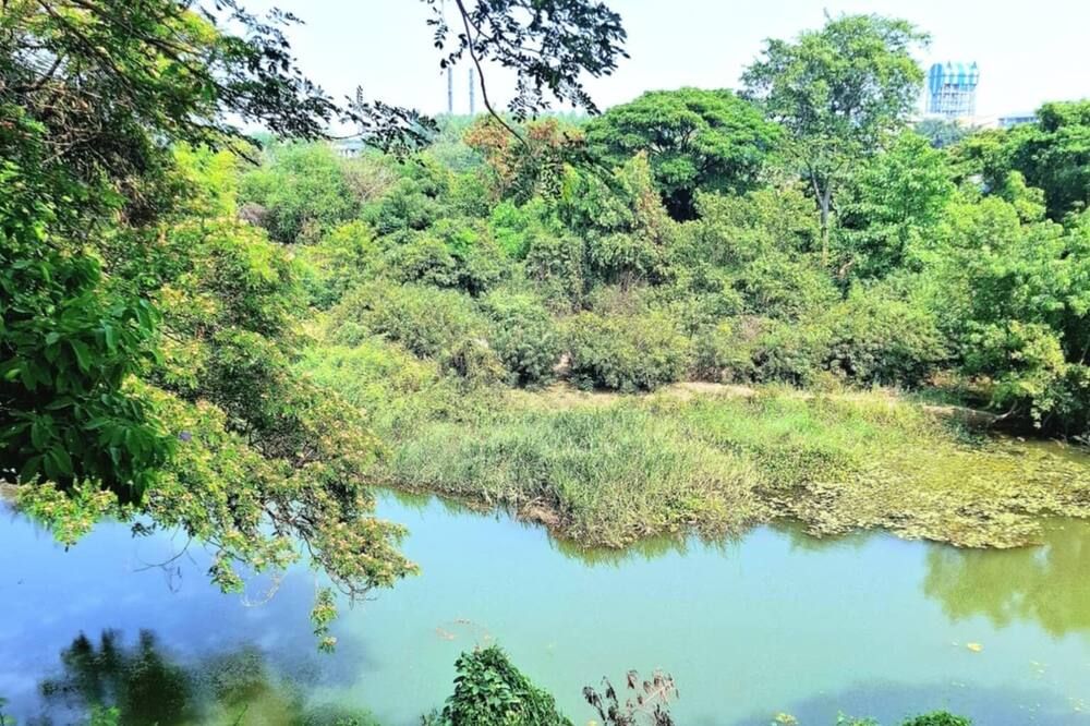 Outdoors view