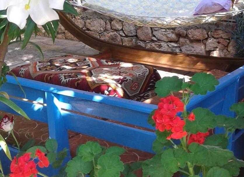 Other Photo
