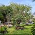 Outdoors view
