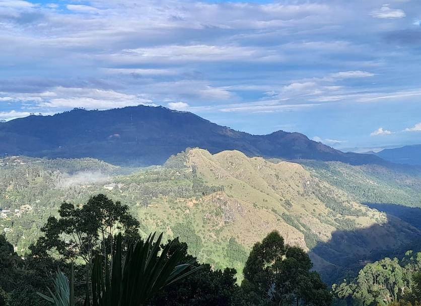 Outdoors view Photo