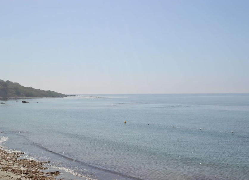 Other Photo