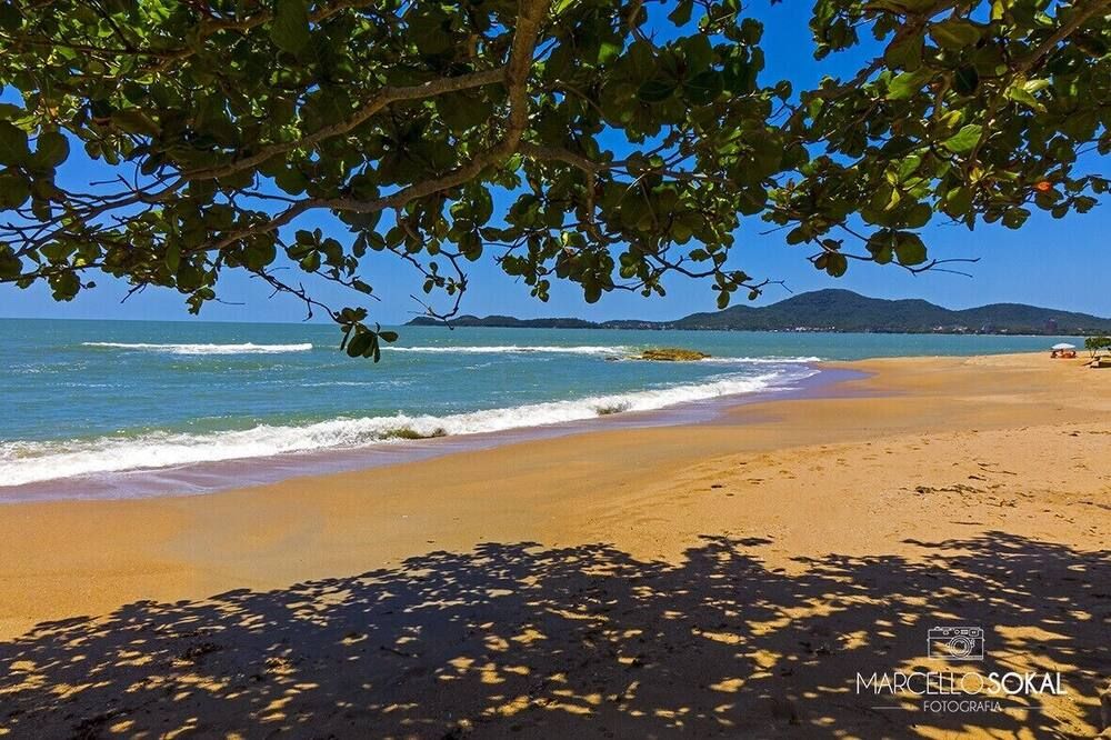 Beach Photo